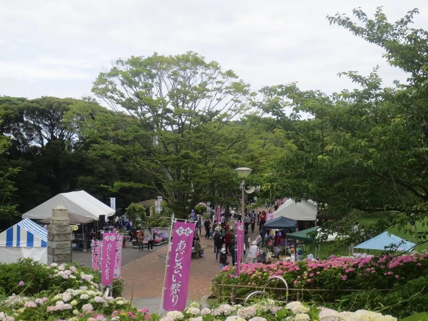 🏞️ 타카토야마 공원(타카토야마 코엔) 이미지 5